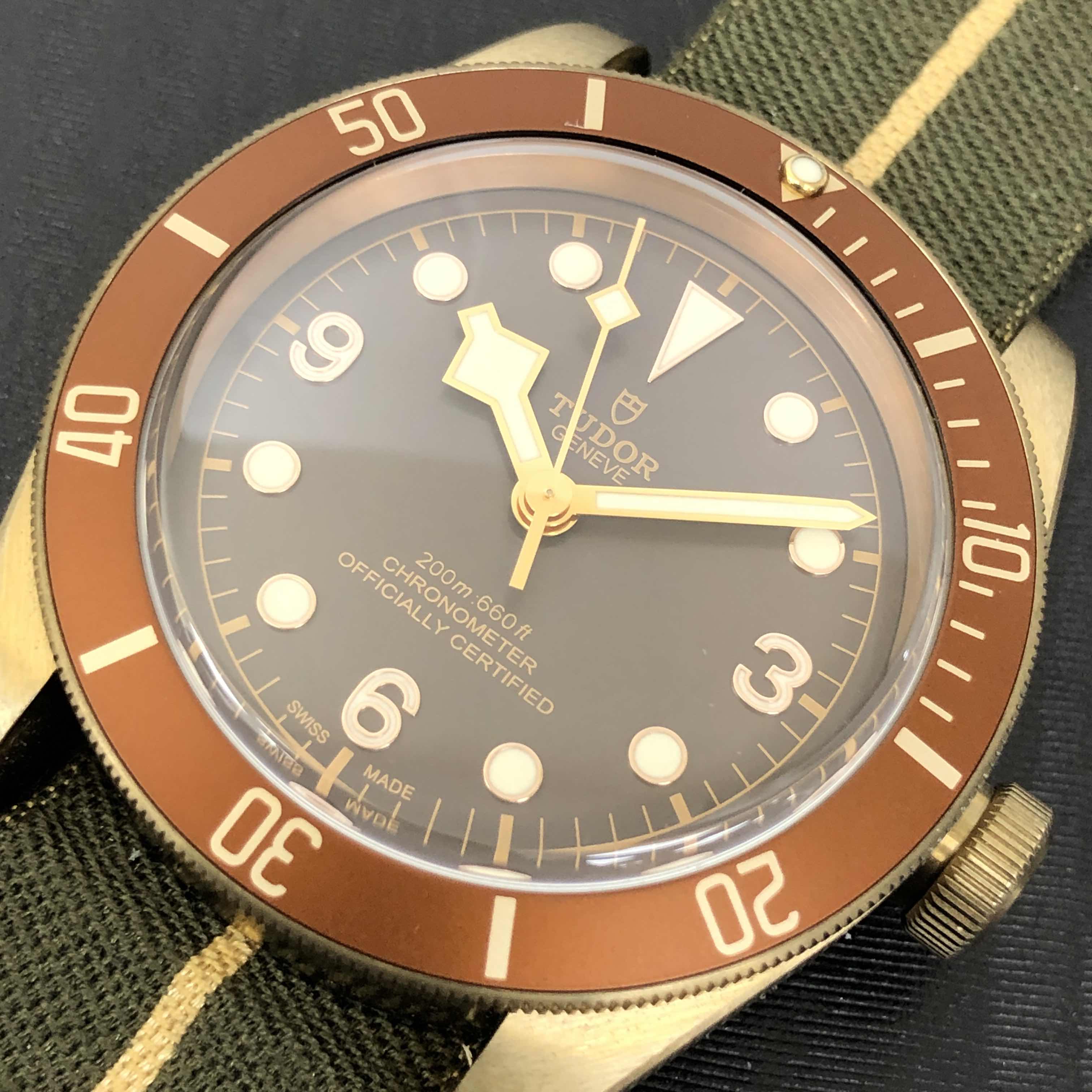 Tudor hot sale bronze discontinued